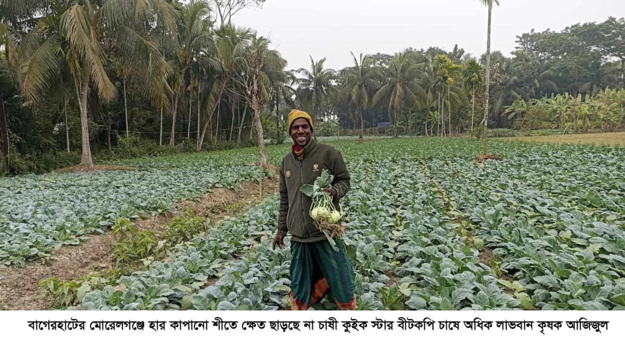 ছবি: প্রতিনিধি