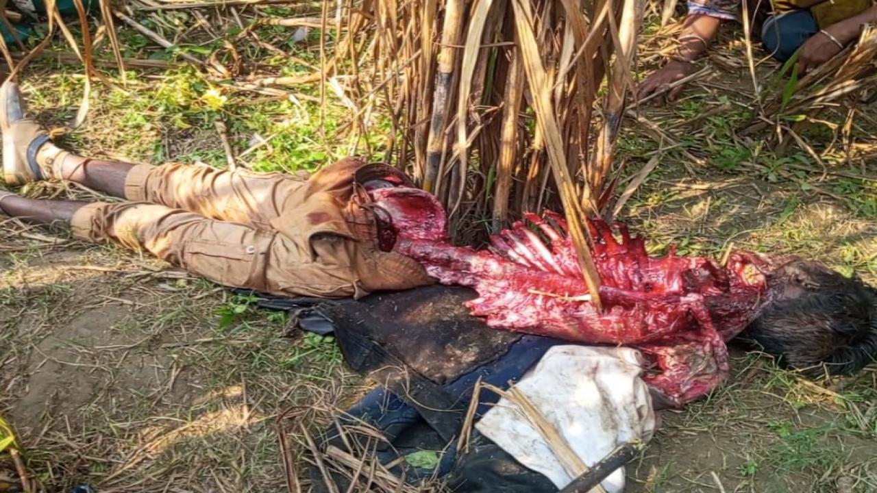 ছবি: প্রতিনিধি