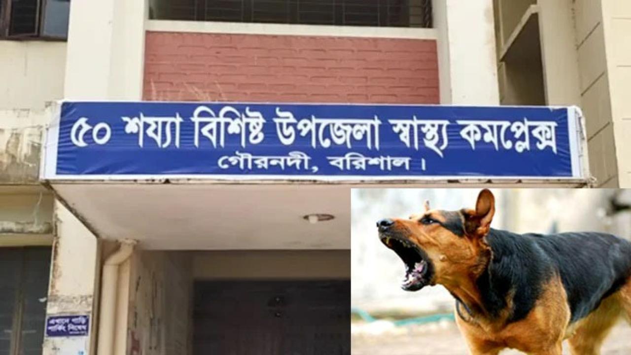 ছবি: প্রতিনিধি